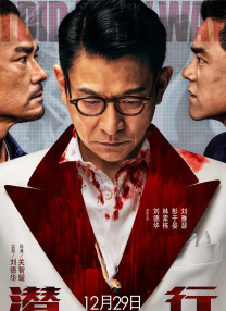 BD高清免费观看